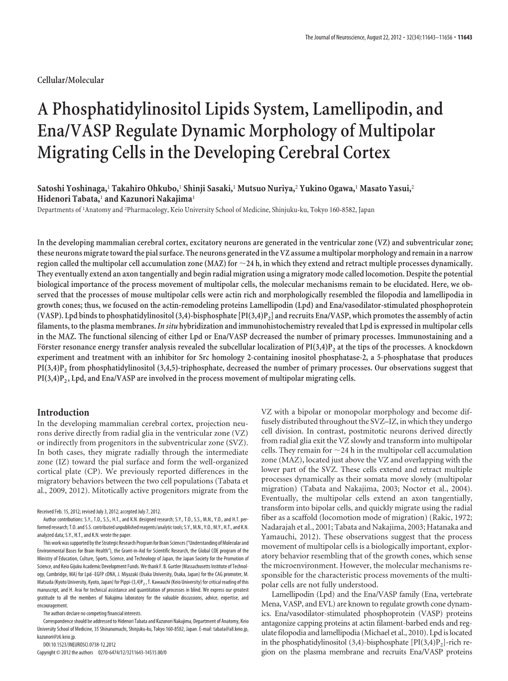 A Phosphatidylinositol Lipids System, Lamellipodin, and Ena/VASP Regulate Dynamic Morphology of Multipolar Migrating Cells in the Developing Cerebral Cortex