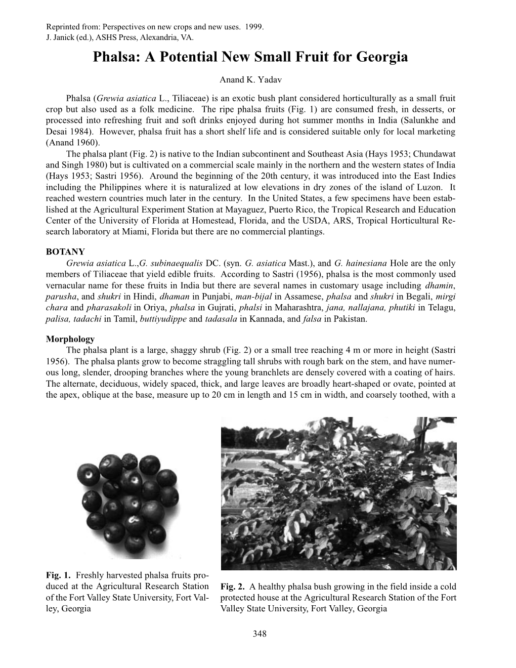 Phalsa: a Potential New Small Fruit for Georgia