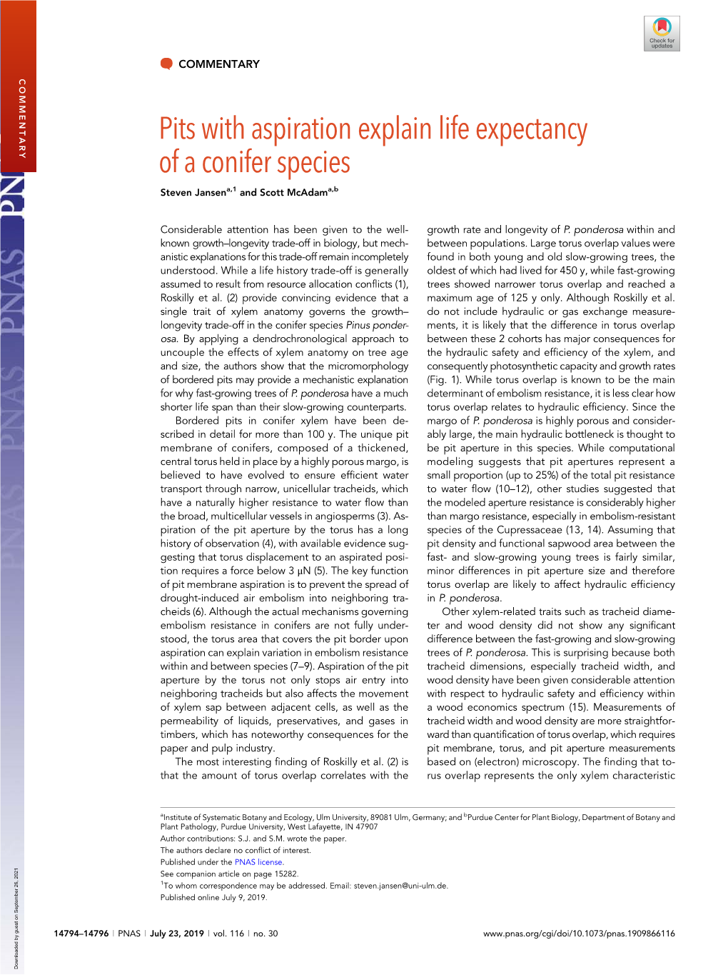 Pits with Aspiration Explain Life Expectancy of a Conifer Species