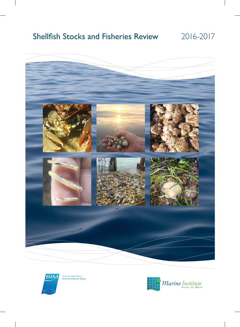 Shellfish Stocks and Fisheries Review 2016 – 2017