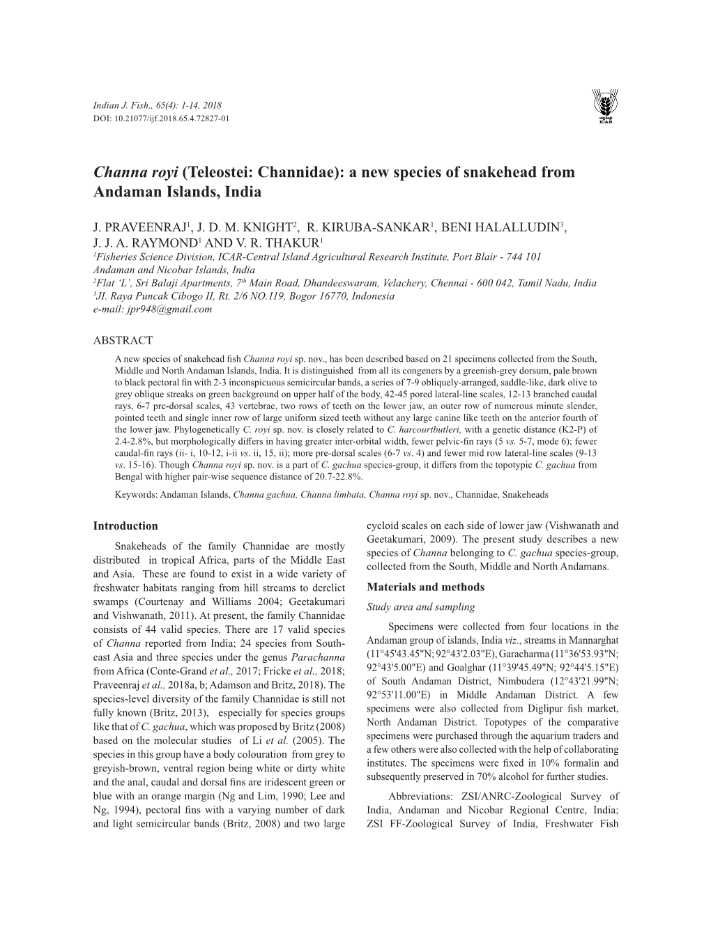 Channa Royi (Teleostei: Channidae): a New Species of Snakehead from Andaman Islands, India