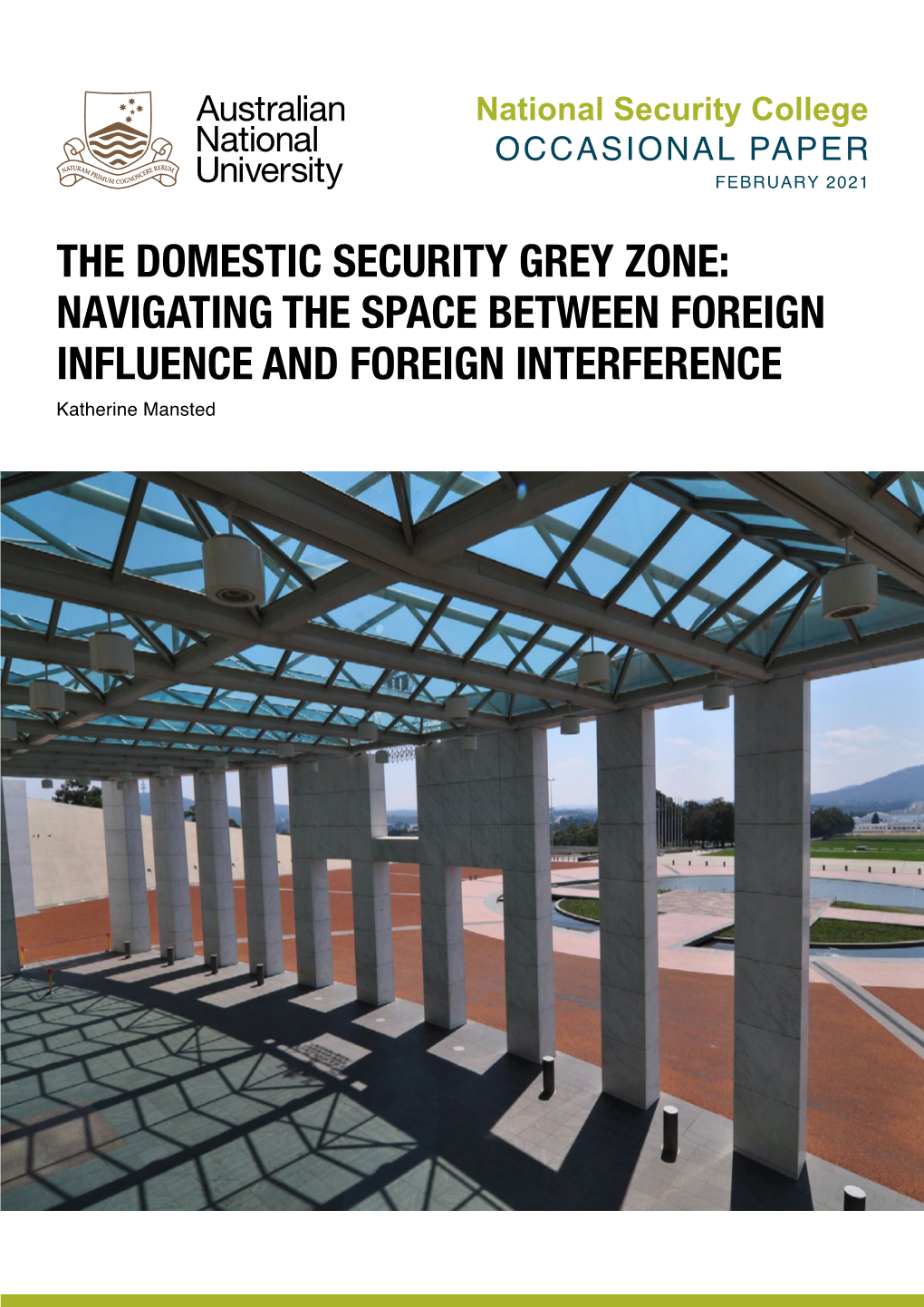 The Domestic Security Grey Zone