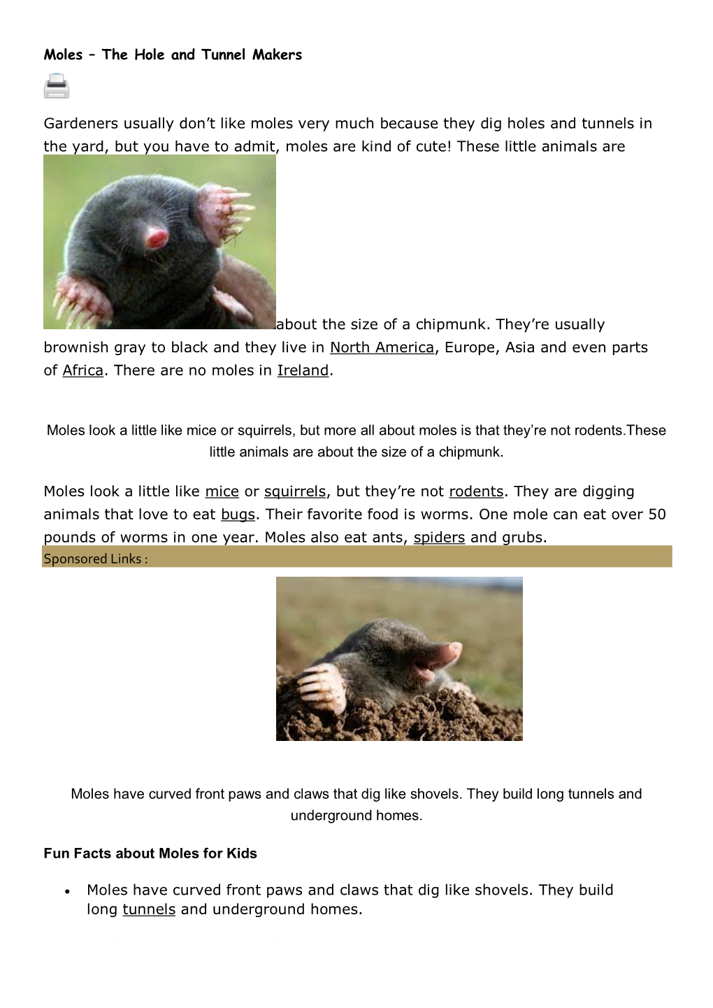 Moles – the Hole and Tunnel Makers Gardeners Usually Don't Like Moles Very Much Because They Dig Holes and Tunnels In