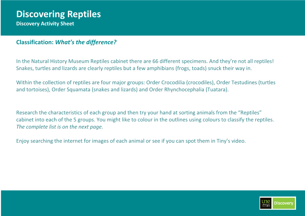 Reptiles Activity Sheet