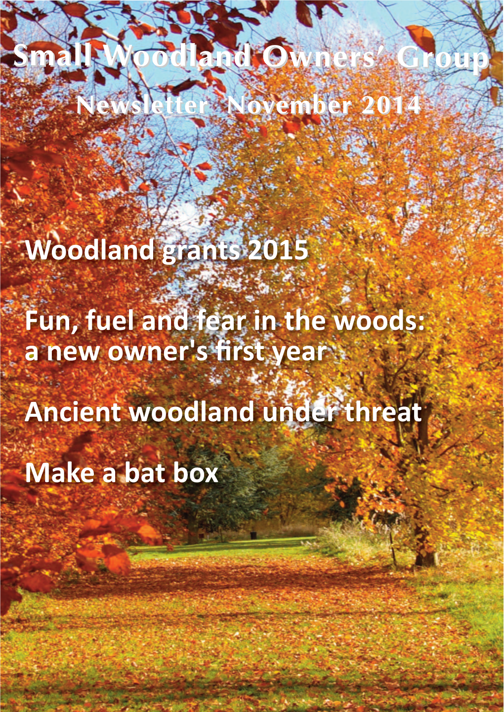 Woodland Grants 2015 Fun, Fuel and Fear in the Woods