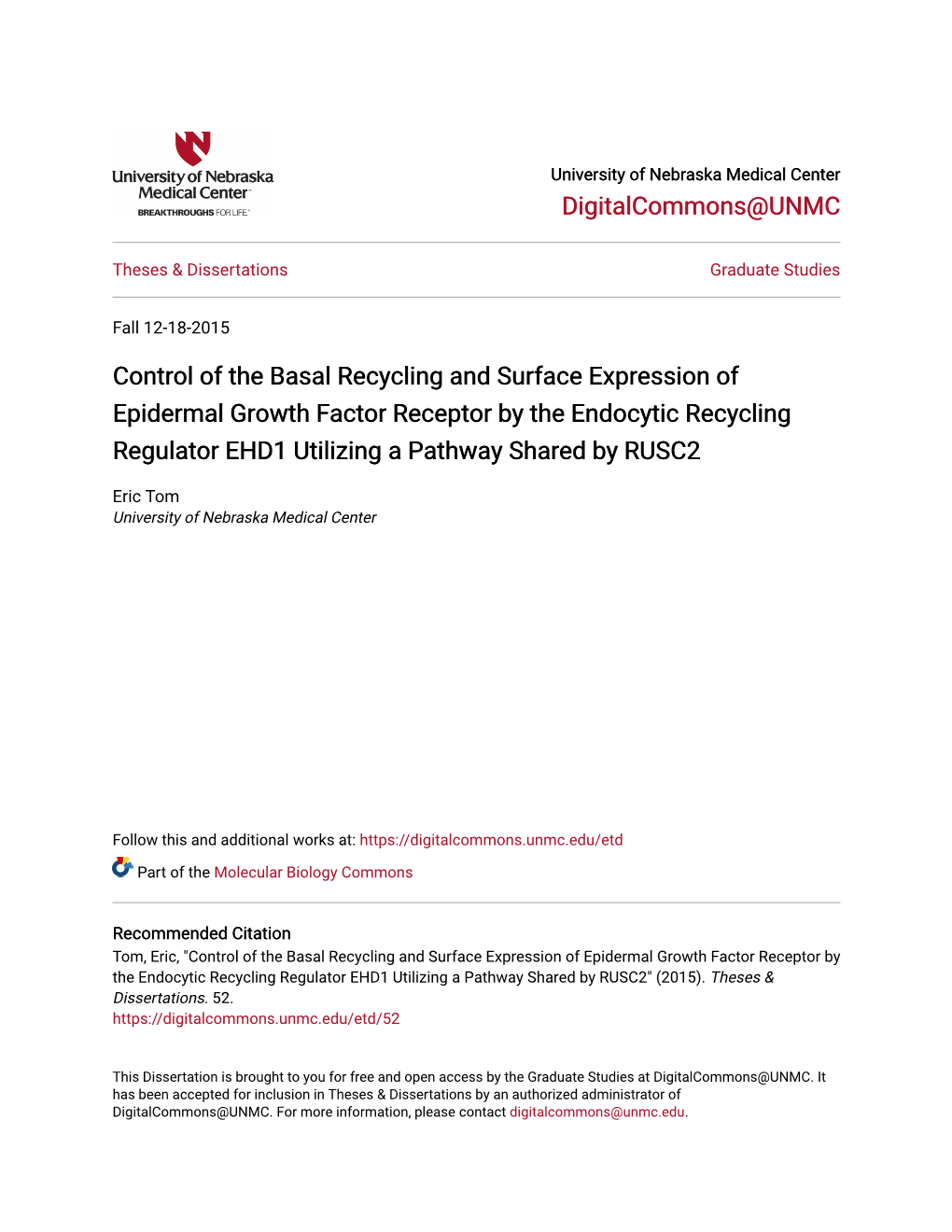 Control of the Basal Recycling and Surface Expression of Epidermal