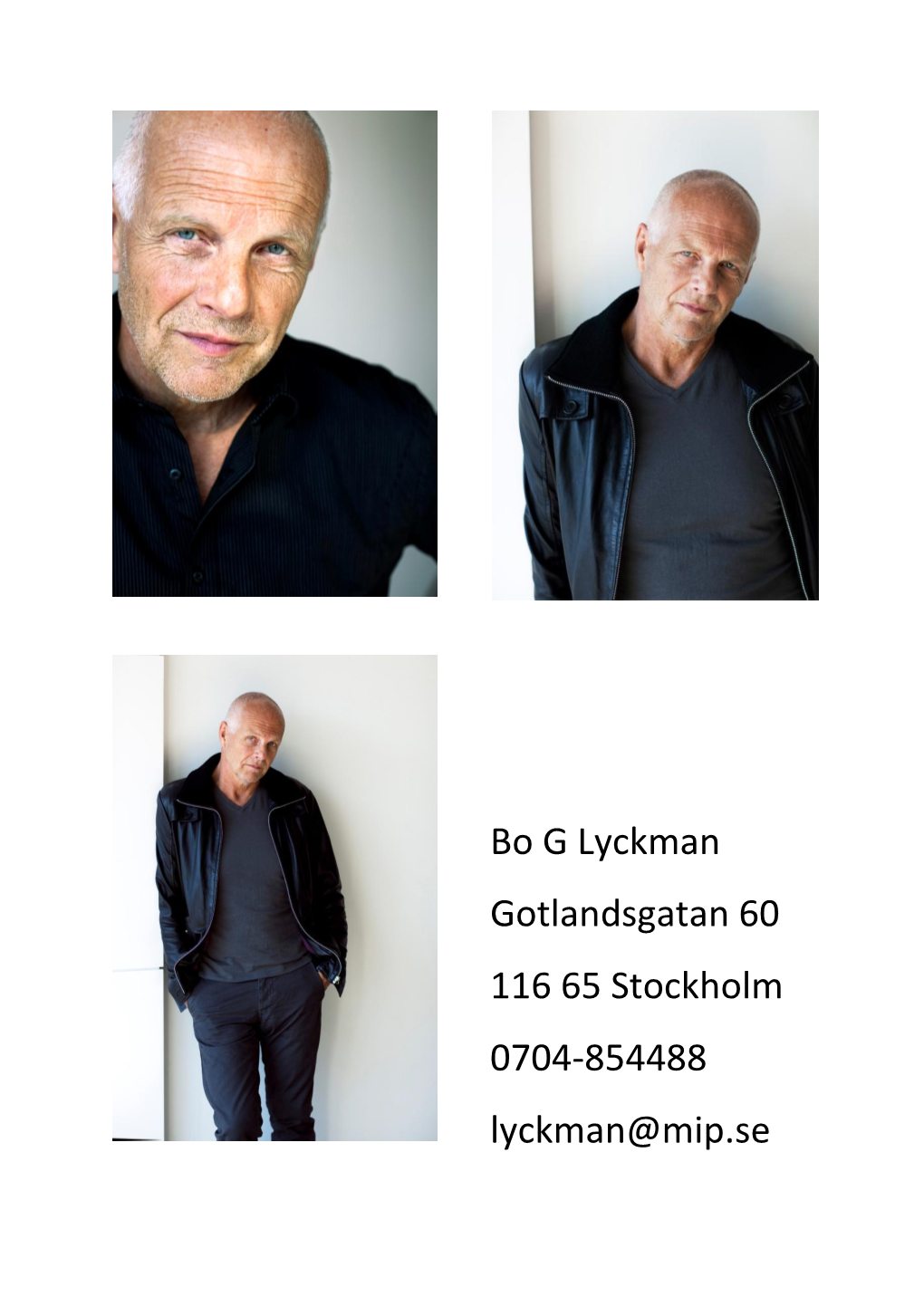 Bo G Lyckman Gotlandsgatan 60 116 65 Stockholm 0704-854488 Lyckman@Mip.Se