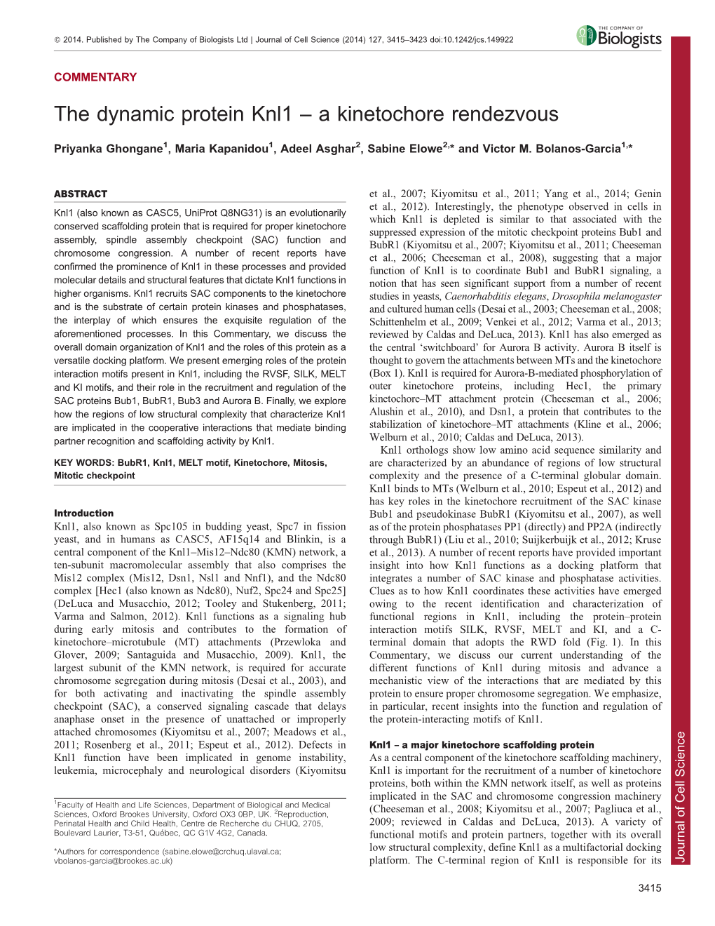 The Dynamic Protein Knl1 – a Kinetochore Rendezvous