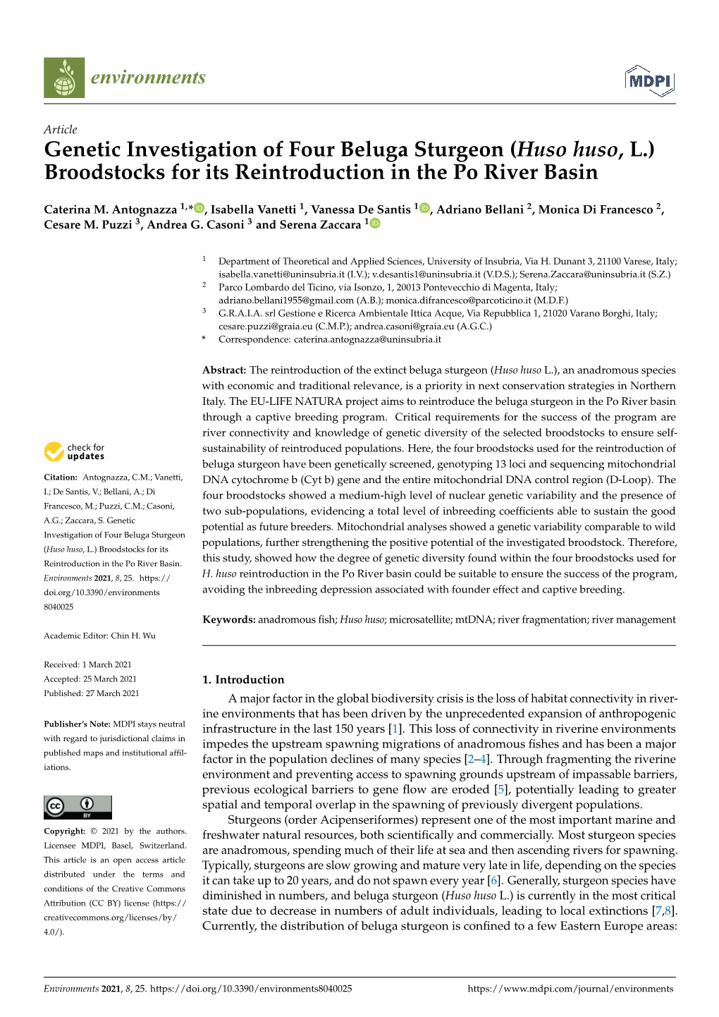 Genetic Investigation of Four Beluga Sturgeon (Huso Huso, L.) Broodstocks for Its Reintroduction in the Po River Basin