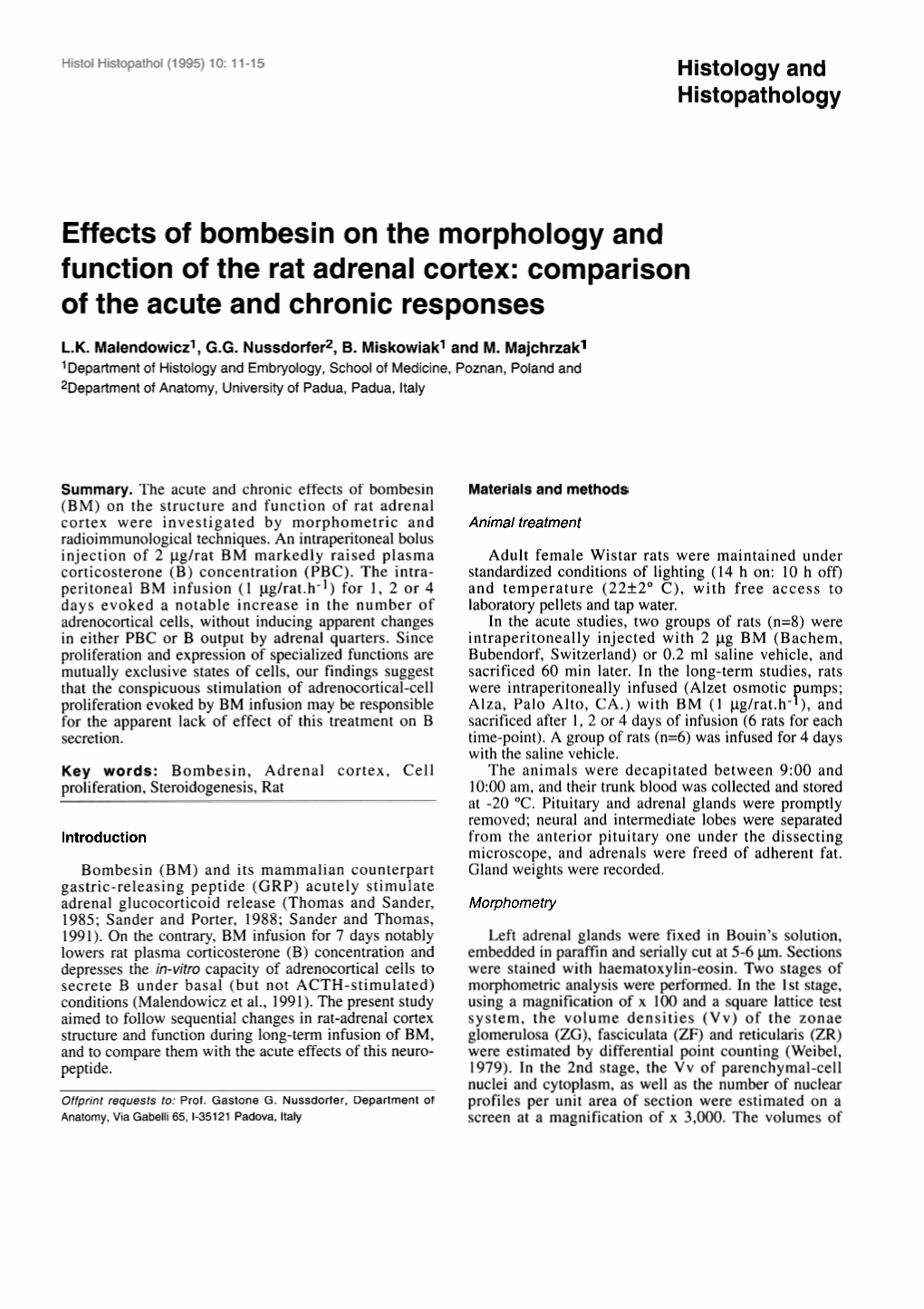 Effects of Bombesin on the Morphology and Function of the Rat Adrenal Cortex: Comparison of the Acute and Chronic Responses