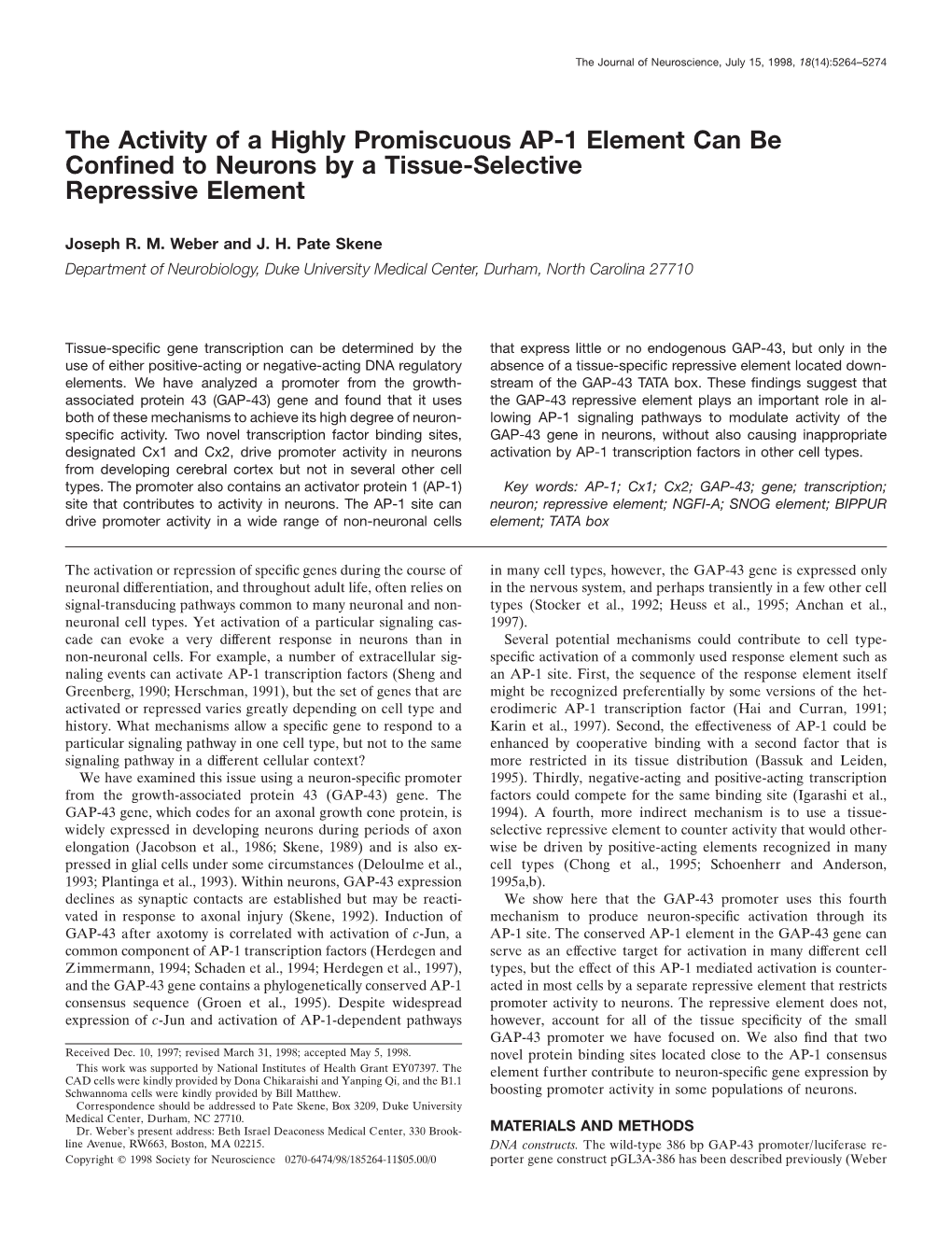 The Activity of a Highly Promiscuous AP-1 Element Can Be Confined To