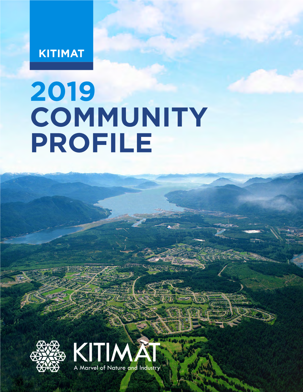 2019 Community Profile Table of Contents
