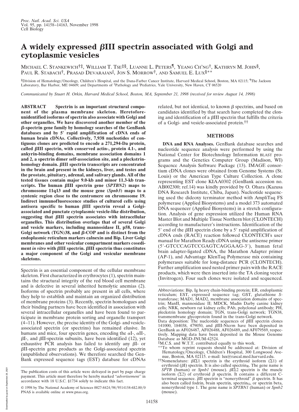 A Widely Expressed III Spectrin Associated with Golgi and Cytoplasmic Vesicles