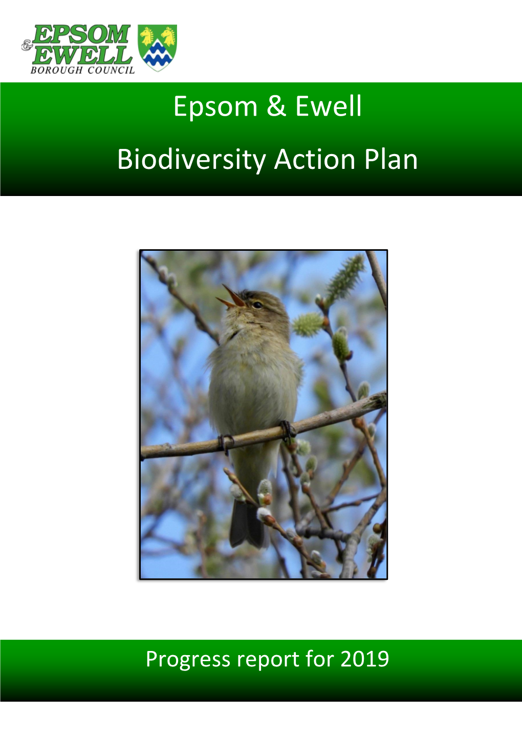 2019 Update on the Biodiversity Action Plan