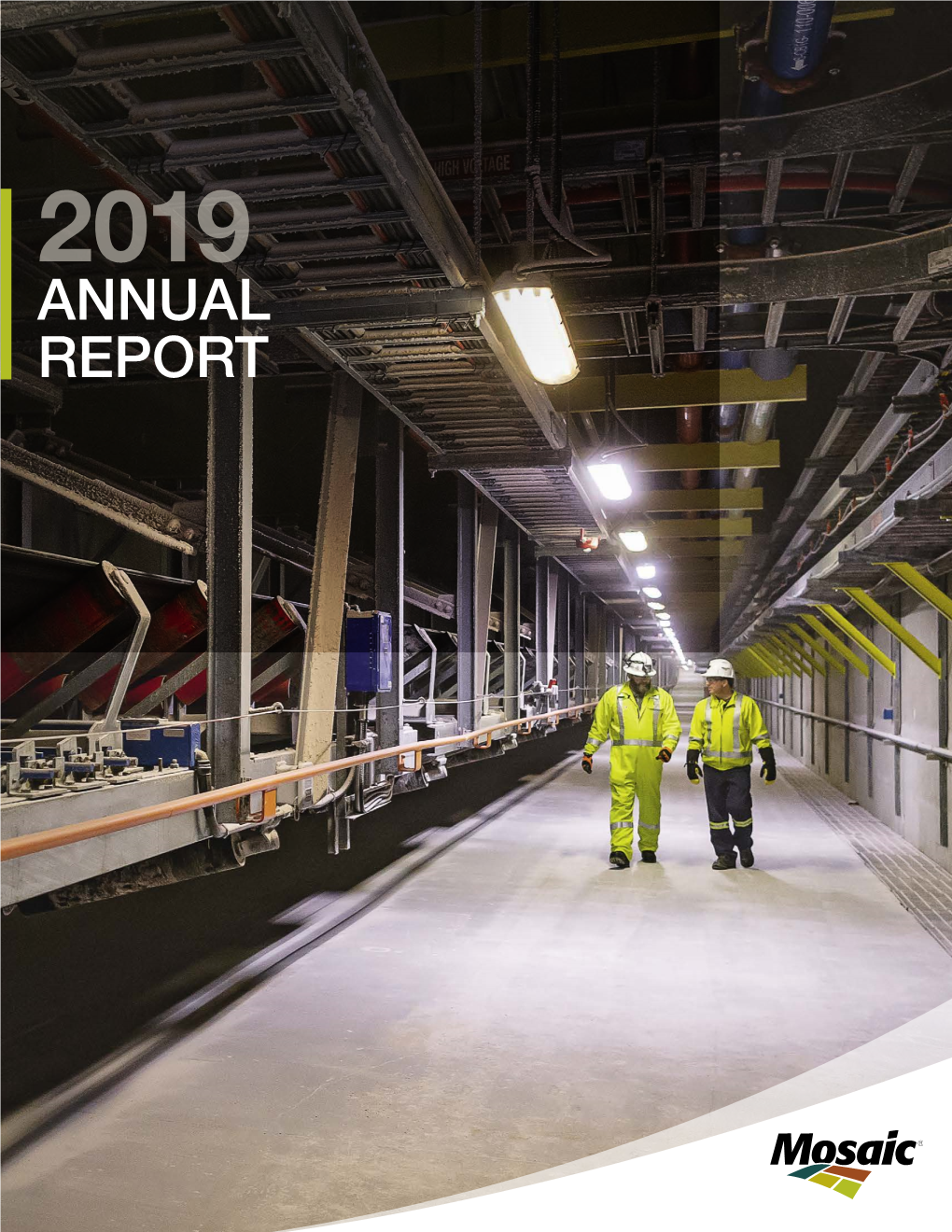 2019 ANNUAL REPORT Financial Highlights