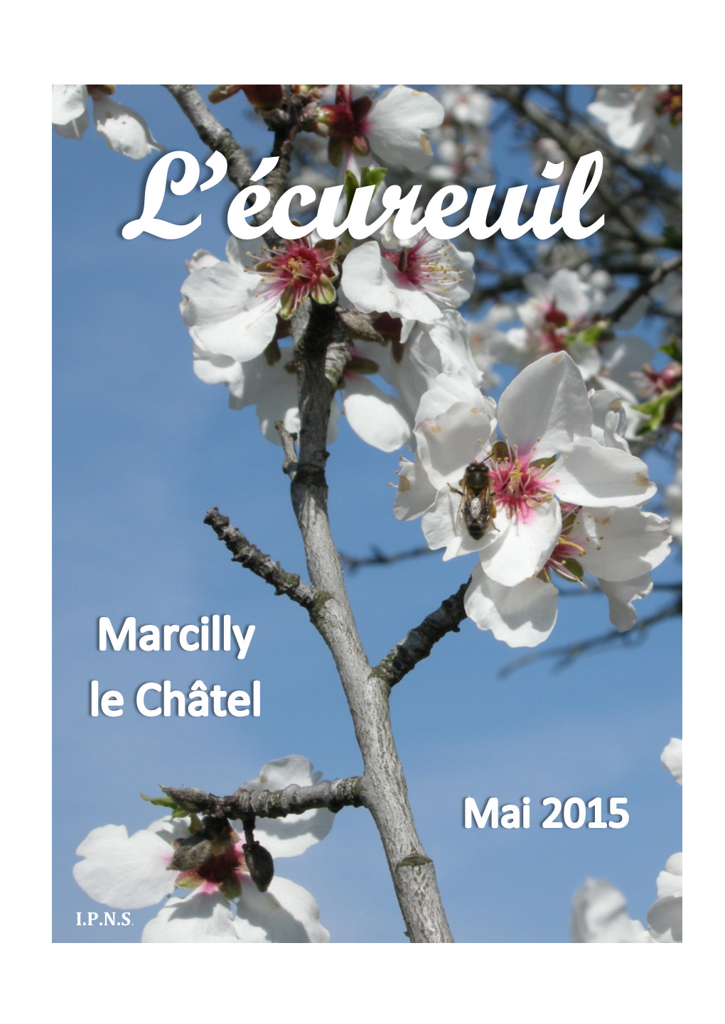 Ecureuil-2015-05.Pdf