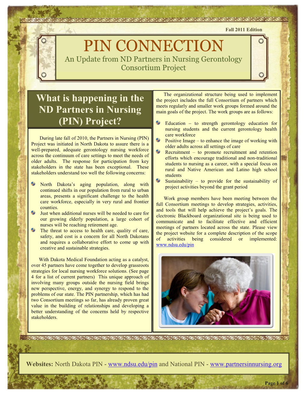 PIN CONNECTION an Update from ND Partners in Nursing Gerontology Consortium Project