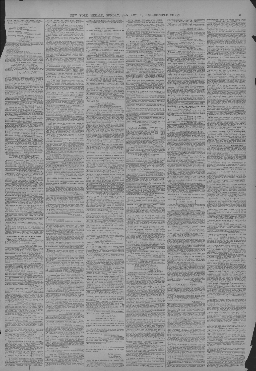 K Herald, Sunday, J1lntjary 18, 1891-Octuple Sheet