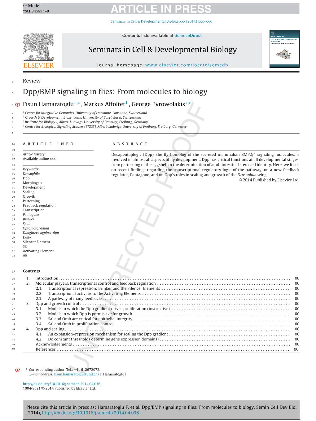 Dpp/BMP Signaling in Flies: from Molecules to Biology