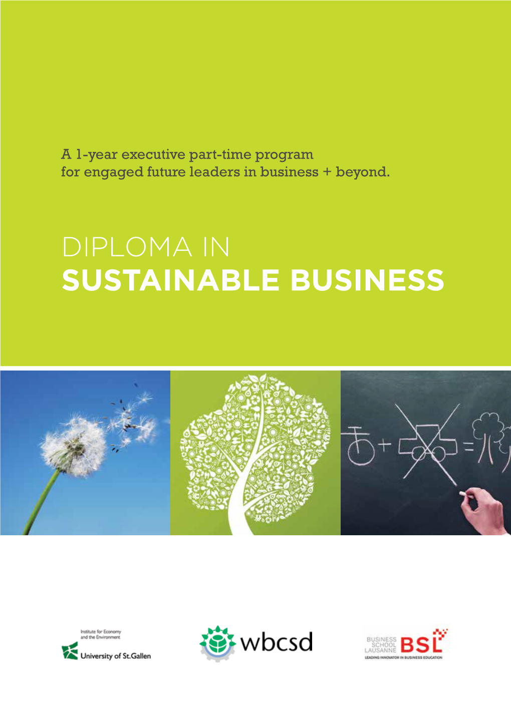 Diploma in Sustainable Business Program Vision: New Challenges Demand New Competencies