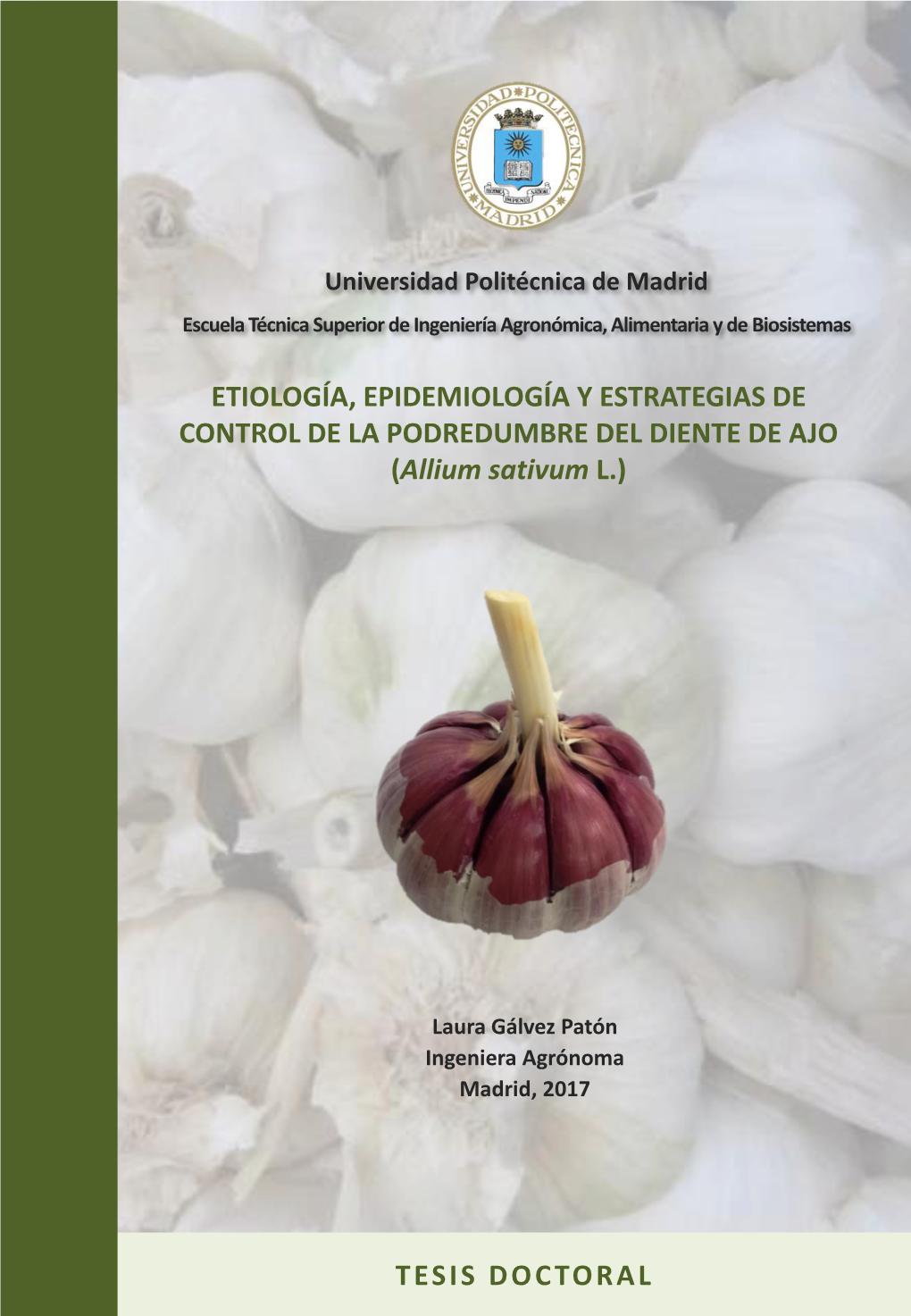 ETIOLOGÍA, EPIDEMIOLOGÍA Y ESTRATEGIAS DE CONTROL DE LA PODREDUMBRE DEL DIENTE DE AJO (Allium Sativum L.)