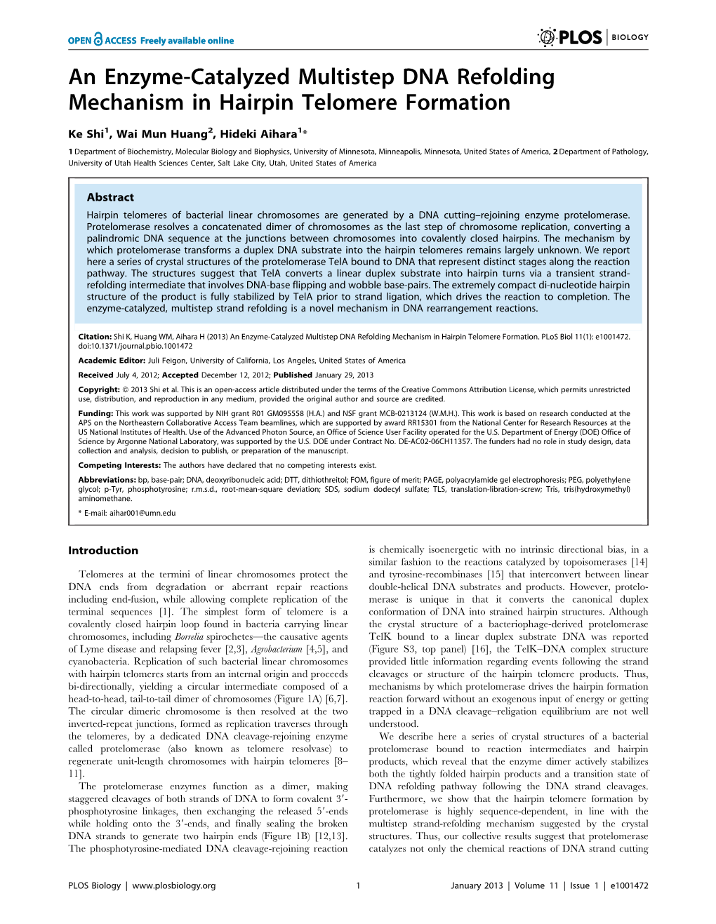 An Enzyme-Catalyzed Multistep DNA Refolding Mechanism in Hairpin Telomere Formation