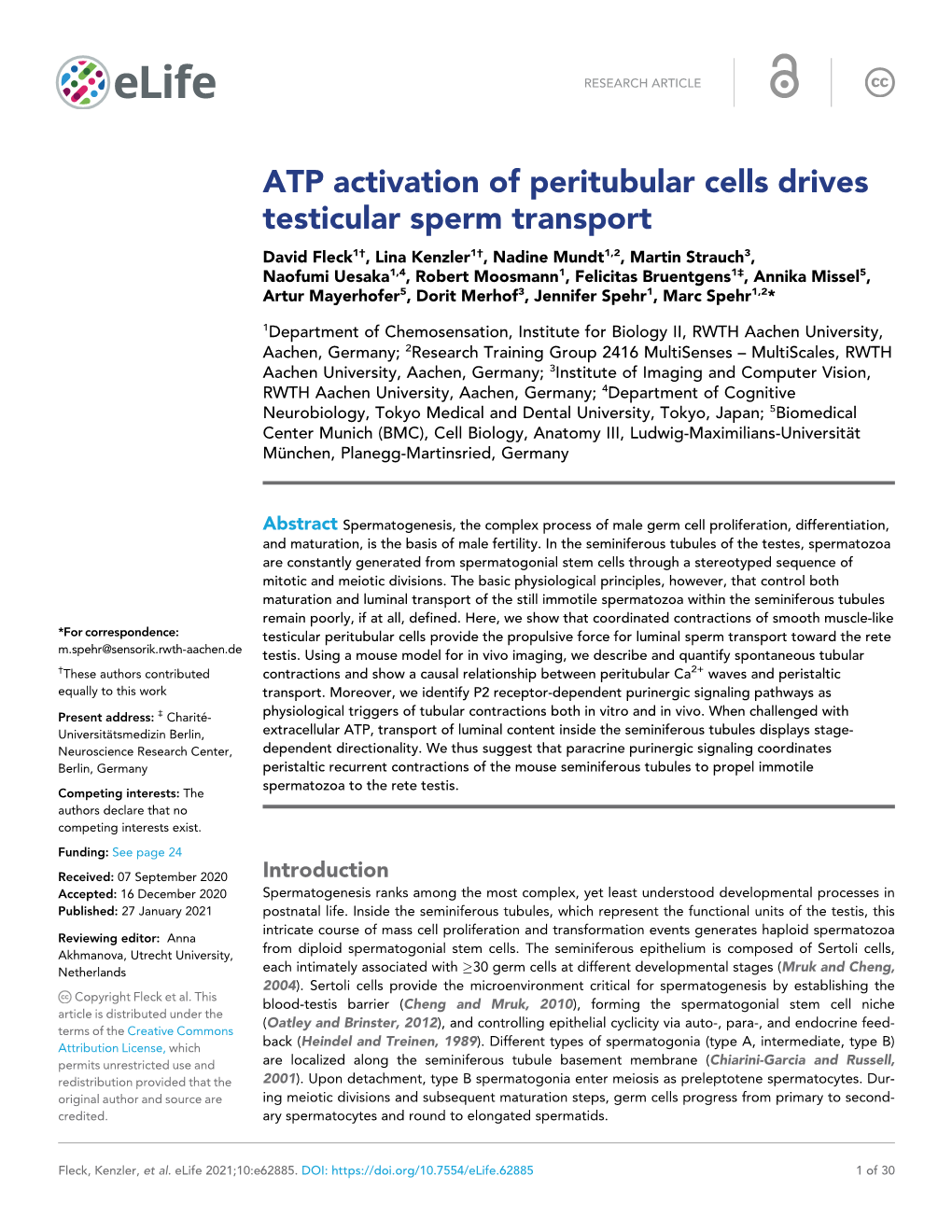 ATP Activation of Peritubular Cells Drives Testicular Sperm Transport