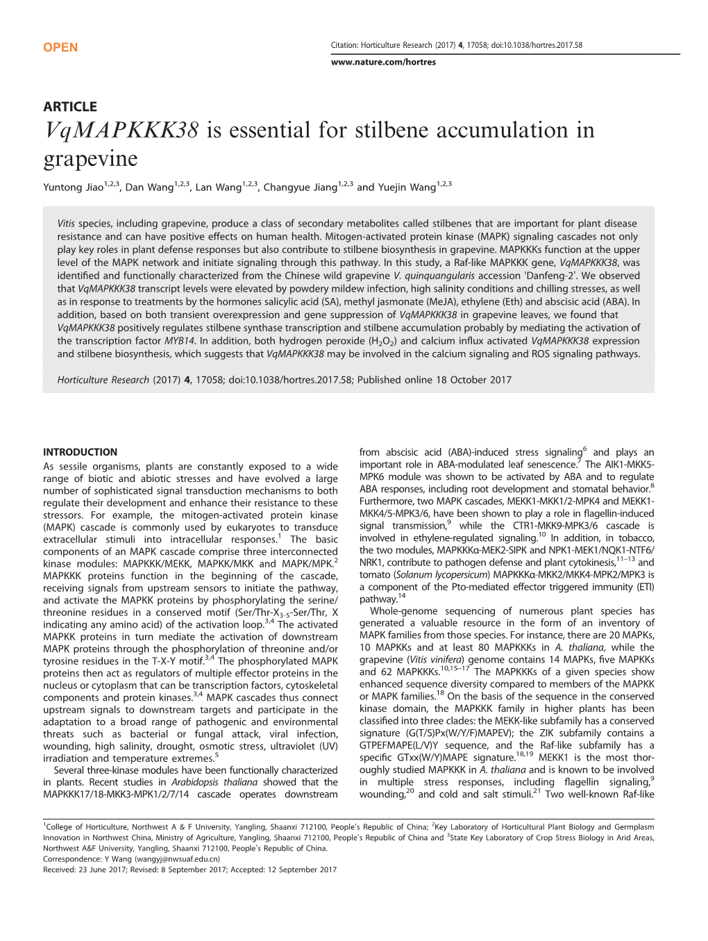 Vqmapkkk38 Is Essential for Stilbene Accumulation in Grapevine