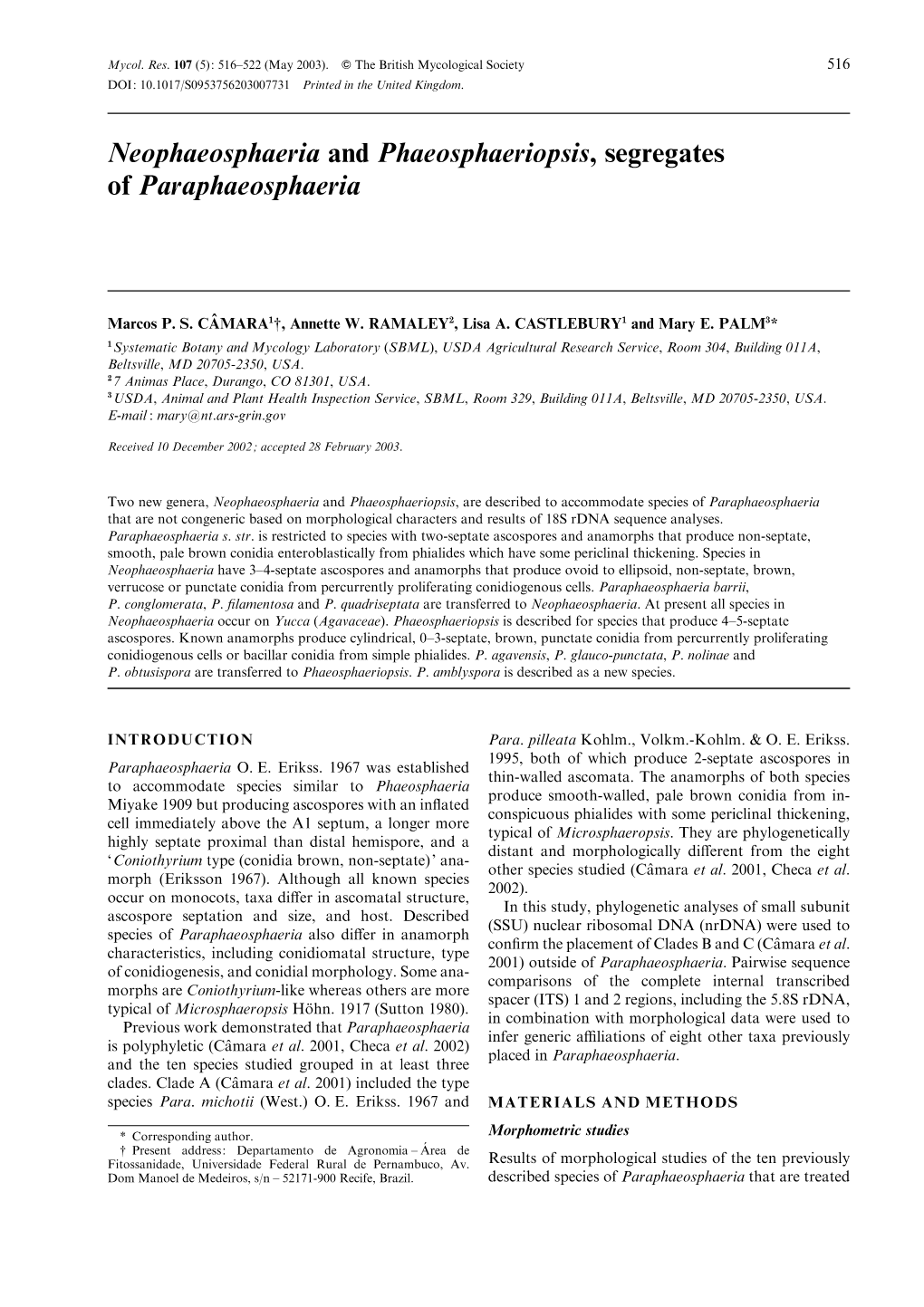 Neophaeosphaeria and Phaeosphaeriopsis, Segregates of Paraphaeosphaeria