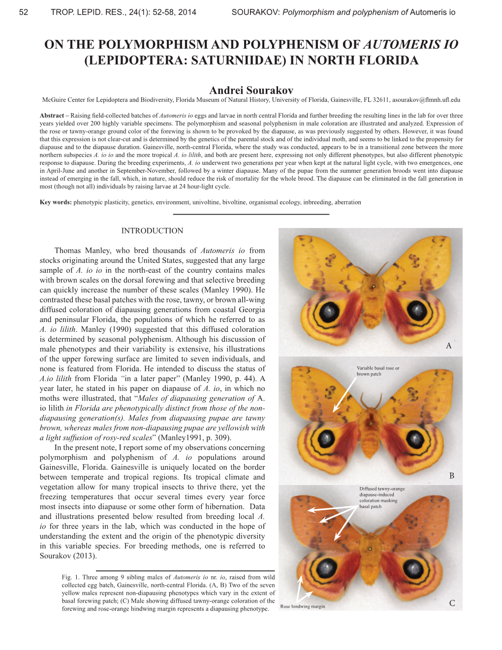 On the Polymorphism and Polyphenism of Automeris Io (Lepidoptera: Saturniidae) in North Florida