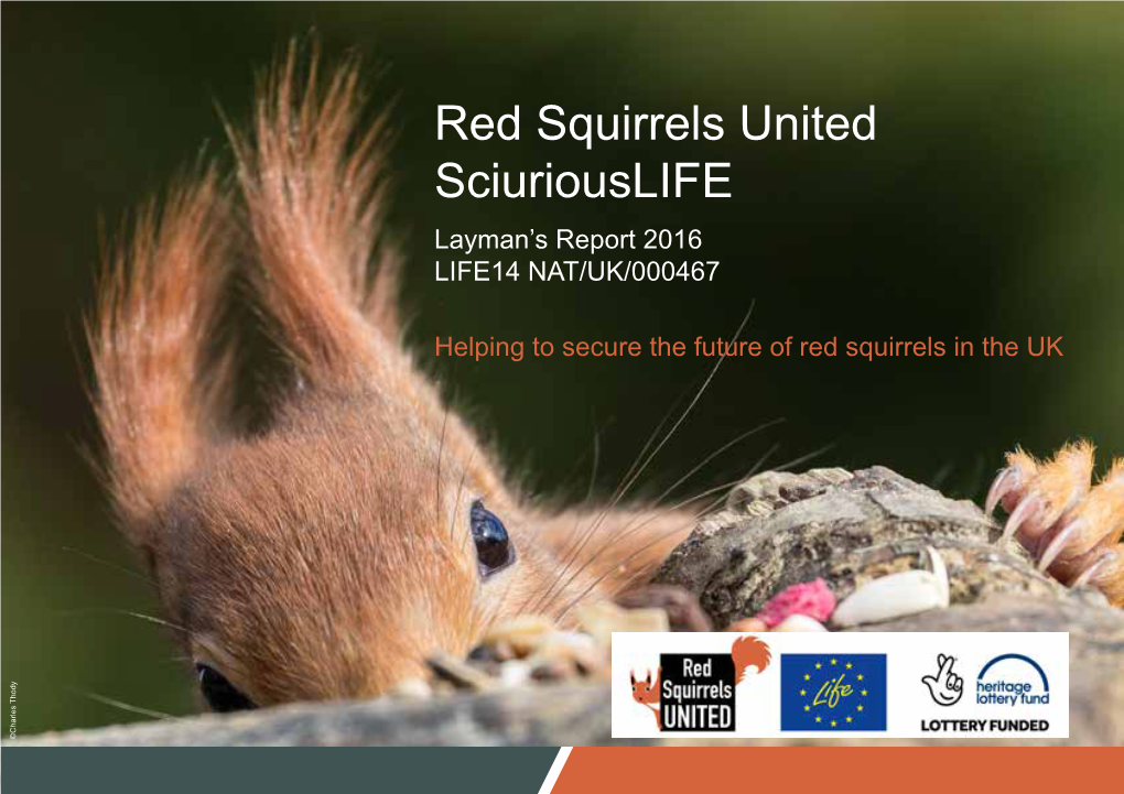 Red Squirrels United Sciuriouslife Layman’S Report 2016 LIFE14 NAT/UK/000467