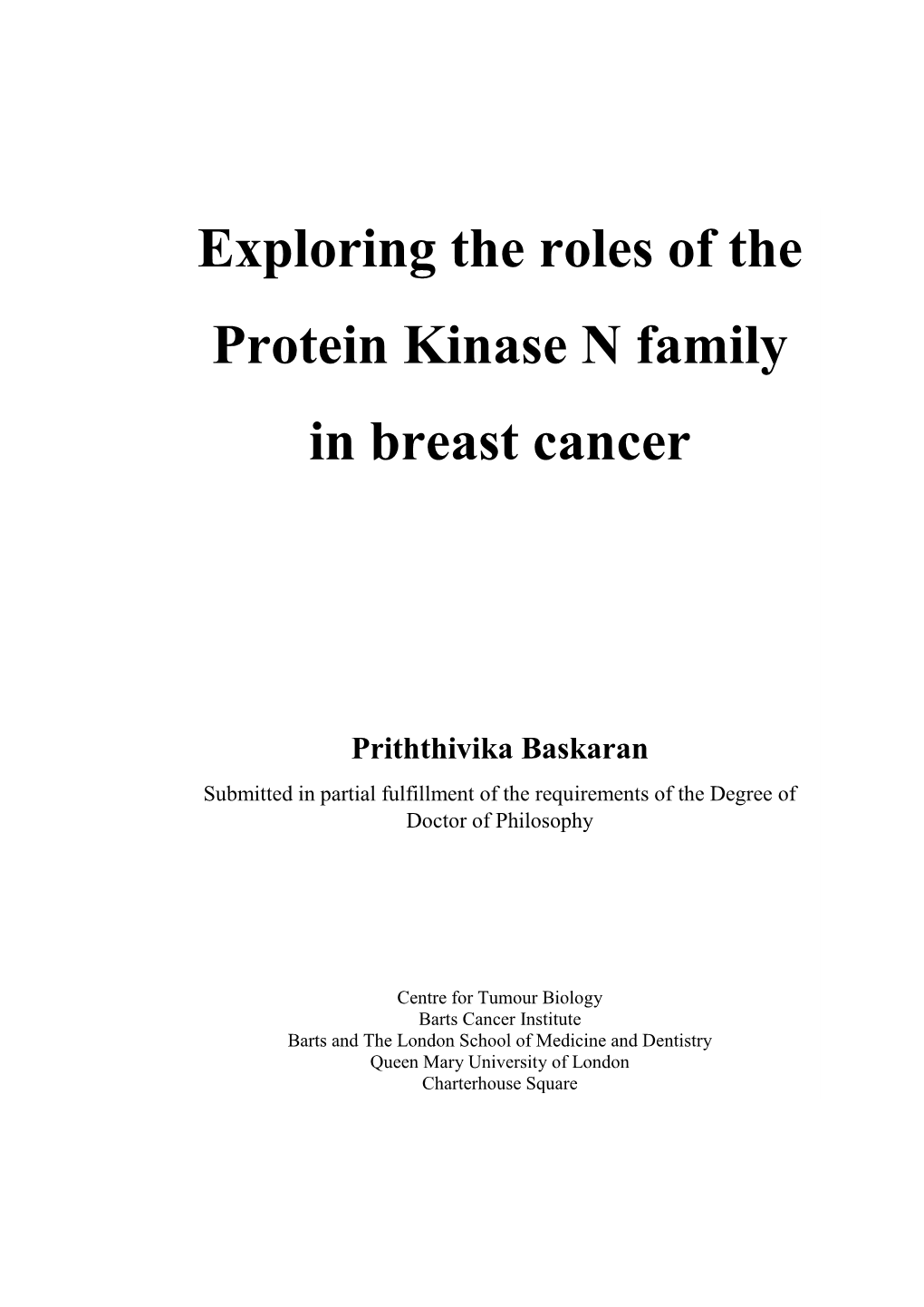 Exploring the Roles of the Protein Kinase N Family in Breast Cancer