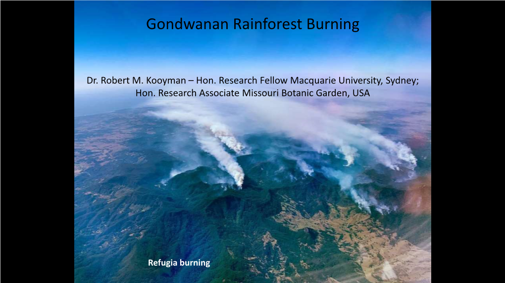 Gondwanan Rainforest Burning