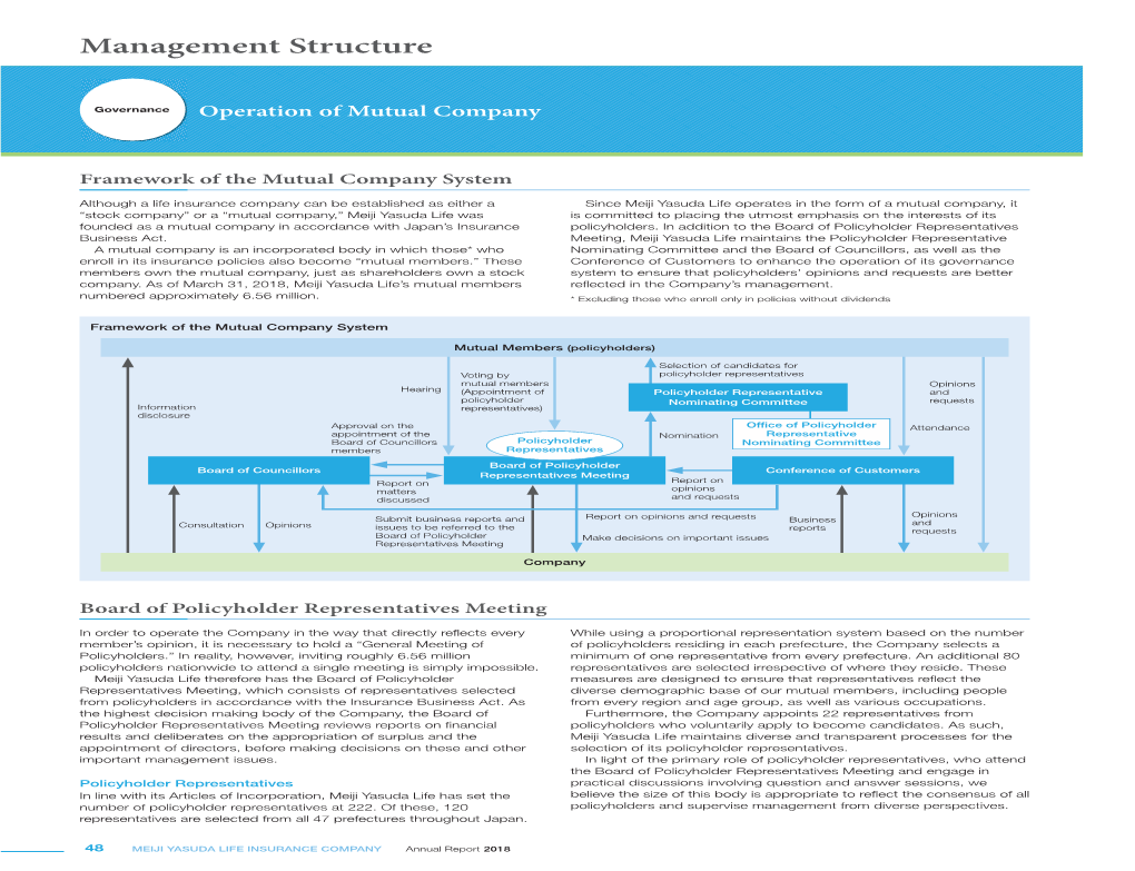 Management Structure