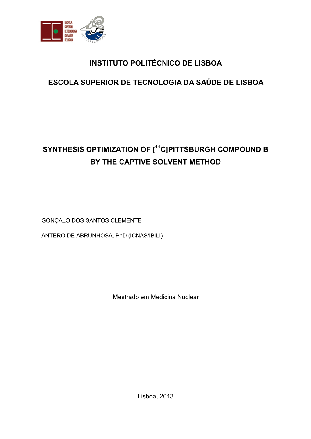 Synthesis Optimization of Pib.Pdf