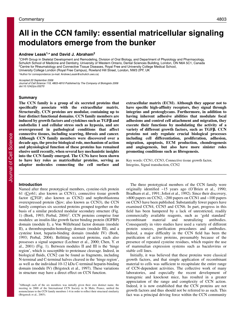 In the CCN Family: Essential Matricellular Signaling Modulators Emerge from the Bunker