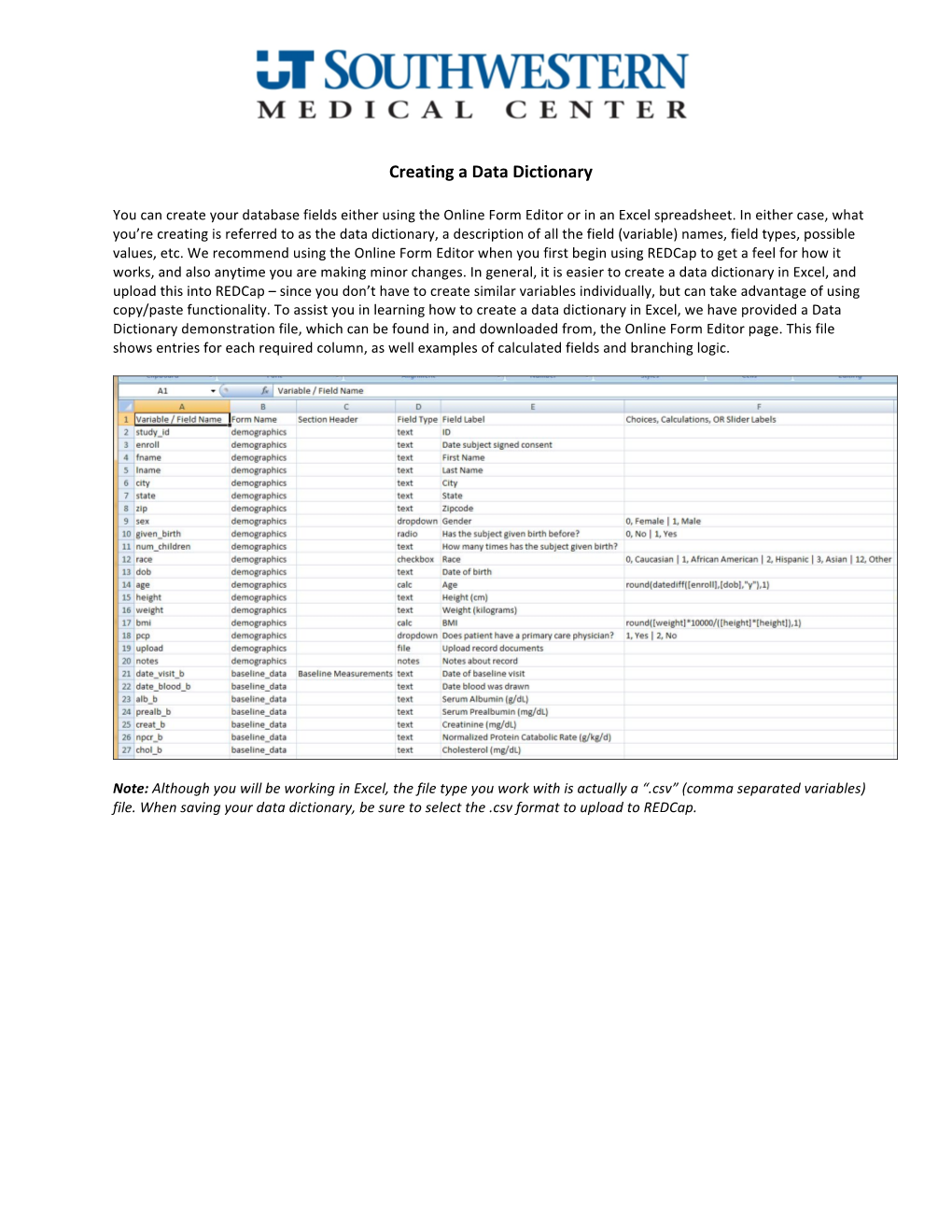 Creating a Redcap Data Dictionary