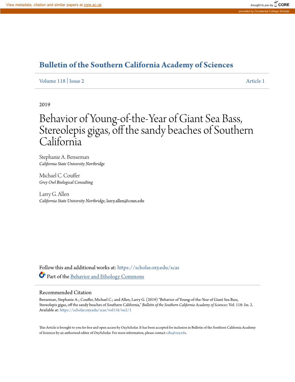 Behavior of Young-Of-The-Year of Giant Sea Bass, Stereolepis Gigas, Off the As Ndy Beaches of Southern California Stephanie A