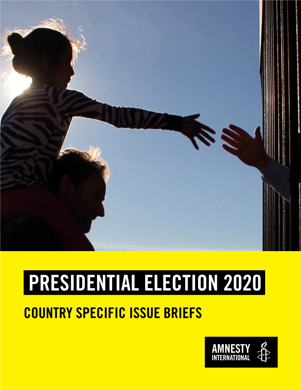 Presidential Election 2020 Country Specific Issue Briefs