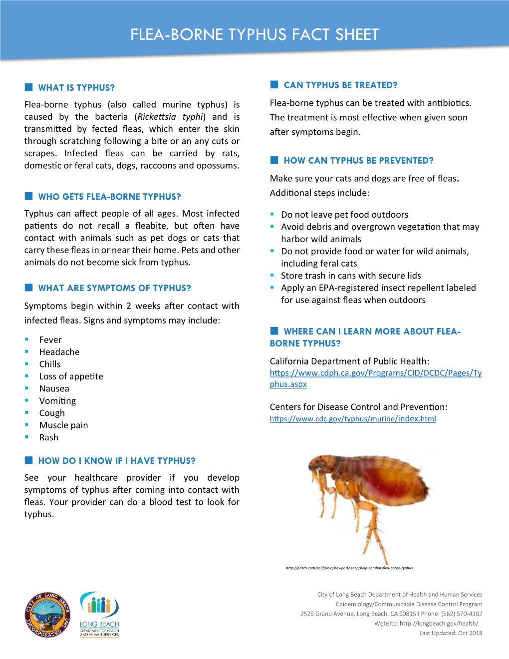Flea-Borne Typhus Fact Sheet