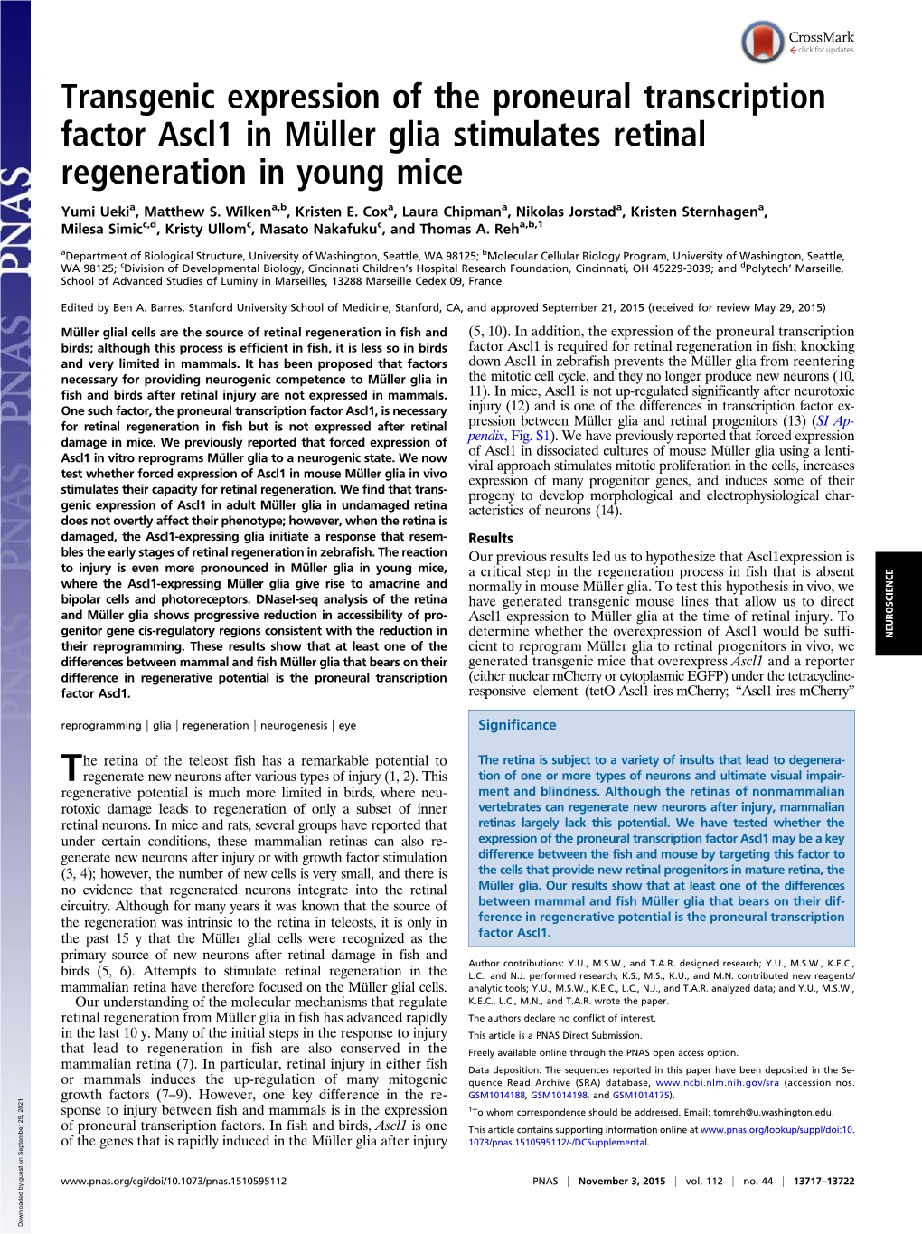 Transgenic Expression of the Proneural Transcription Factor Ascl1 in Müller Glia Stimulates Retinal Regeneration in Young Mice