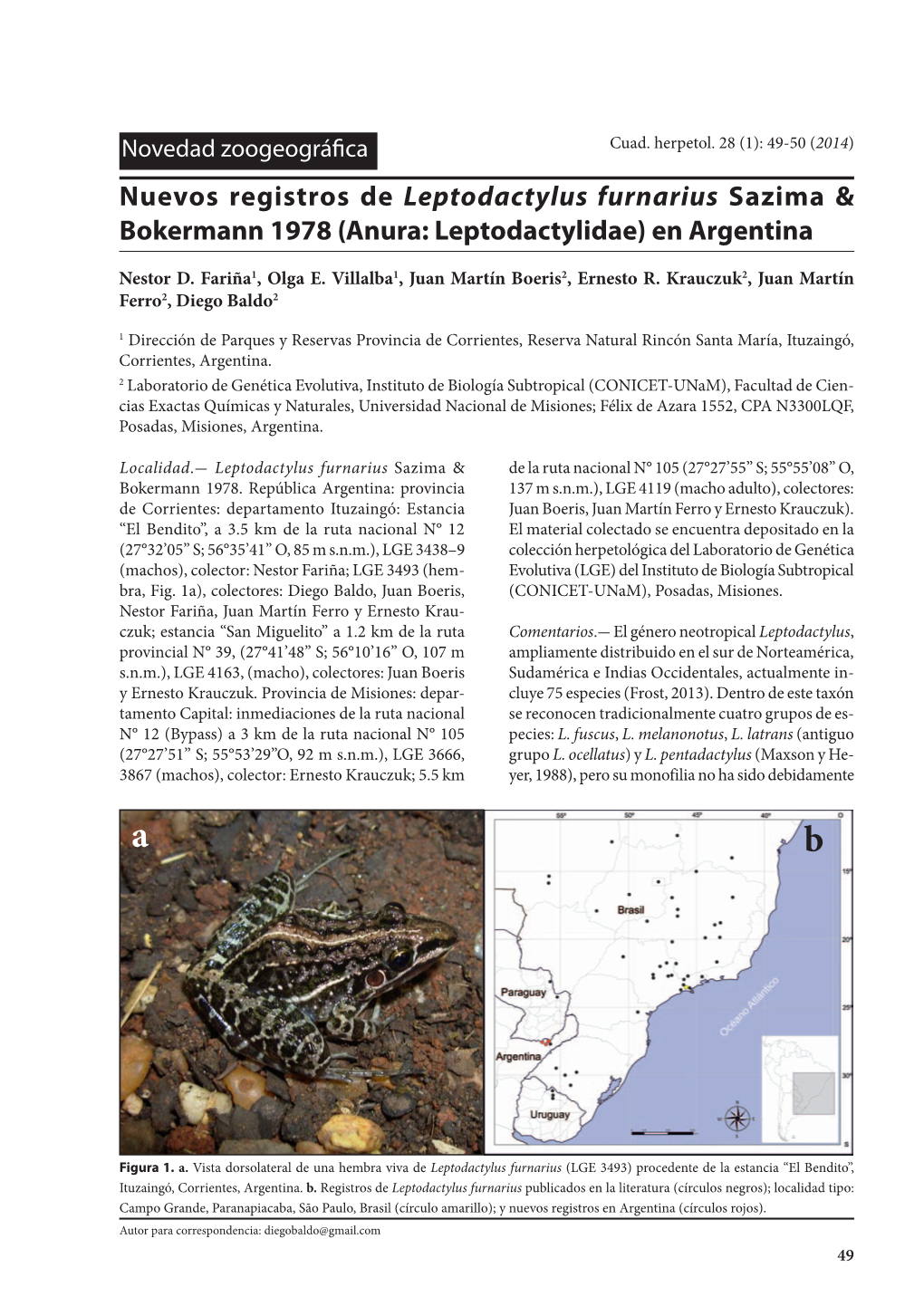 Nuevos Registros De Leptodactylus Furnarius Sazima & Bokermann 1978