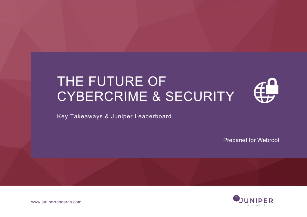 The Future of Cybercrime & Security