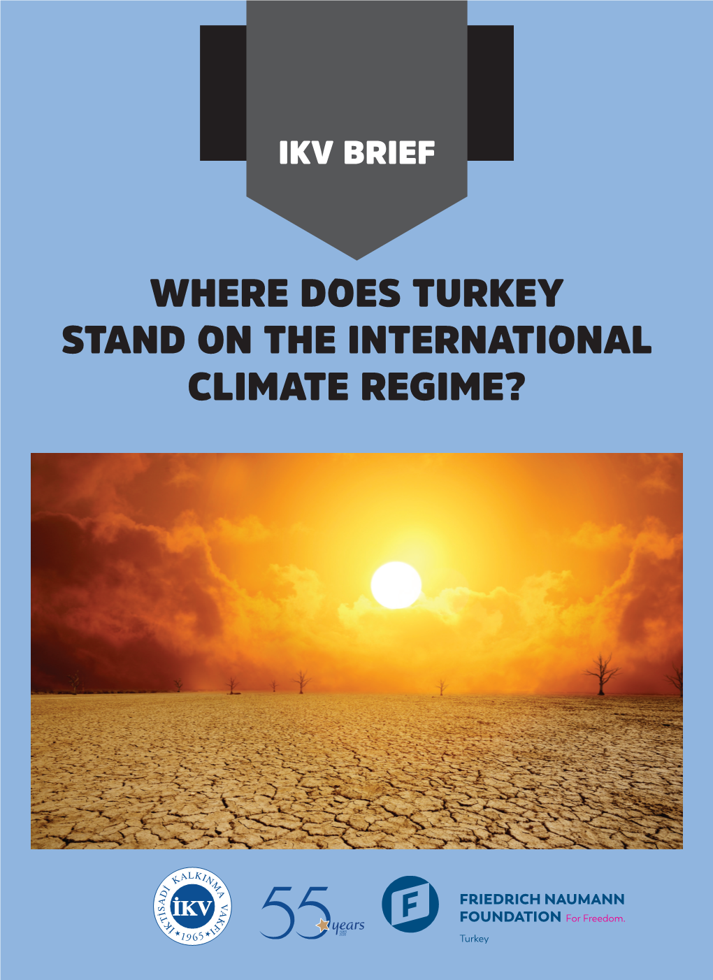 Where Does Turkey Stand on the International Climate Regime?