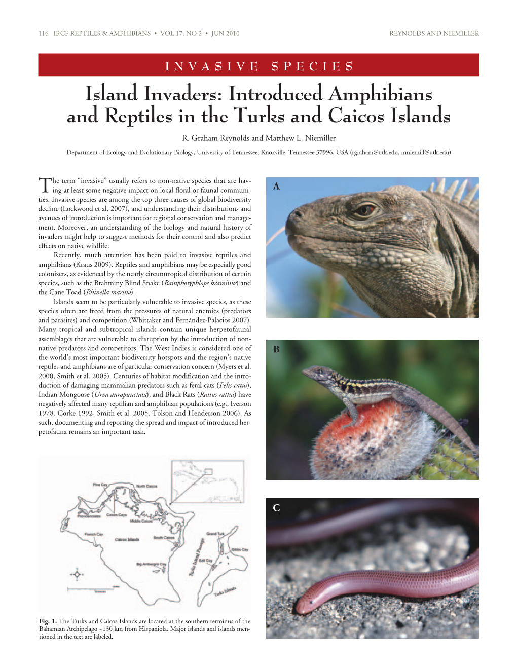 Introduced Amphibians and Reptiles in the Turks and Caicos Islands R