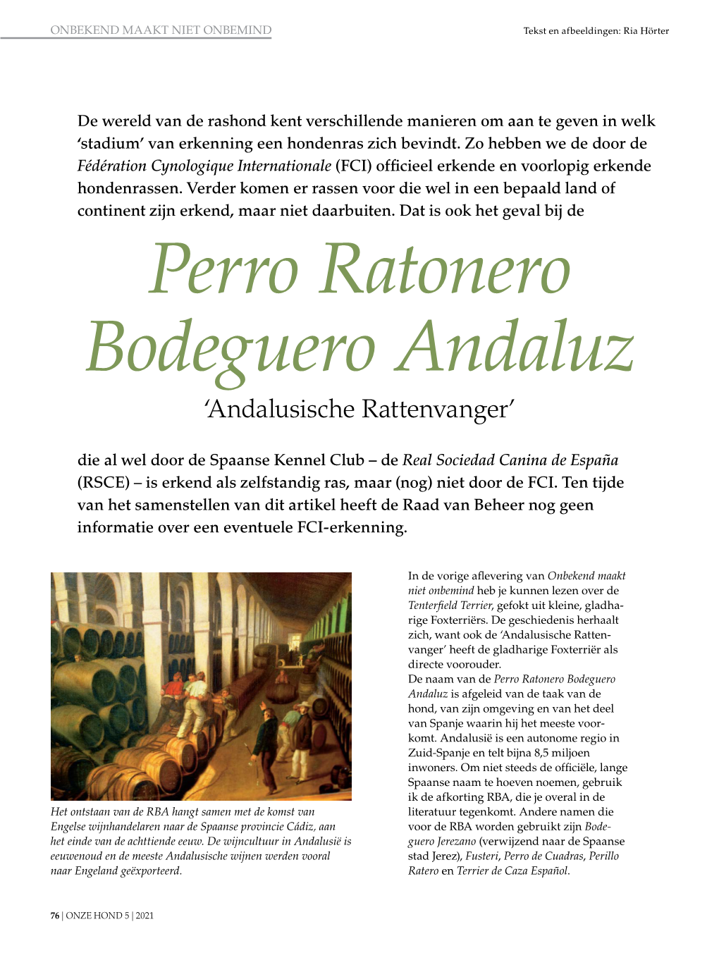 Perro Ratonero Bodeguero Andaluz ‘Andalusische Rattenvanger’