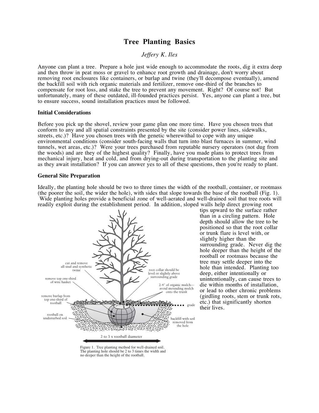 Tree Planting Basics Jeffery K