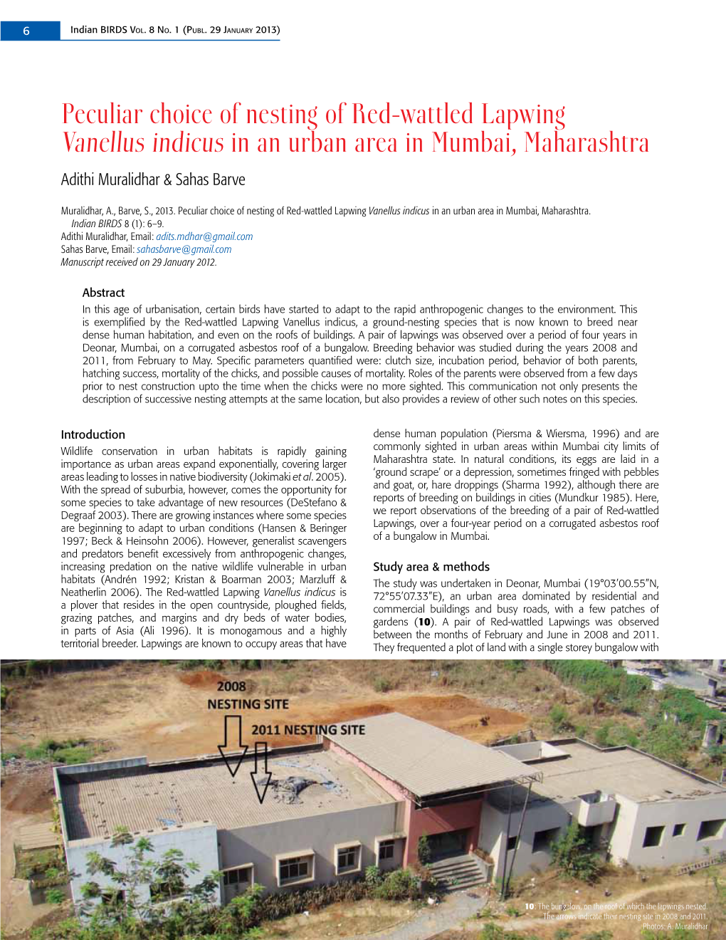 Peculiar Choice of Nesting of Red-Wattled Lapwing Vanellus Indicus in an Urban Area in Mumbai, Maharashtra Adithi Muralidhar & Sahas Barve