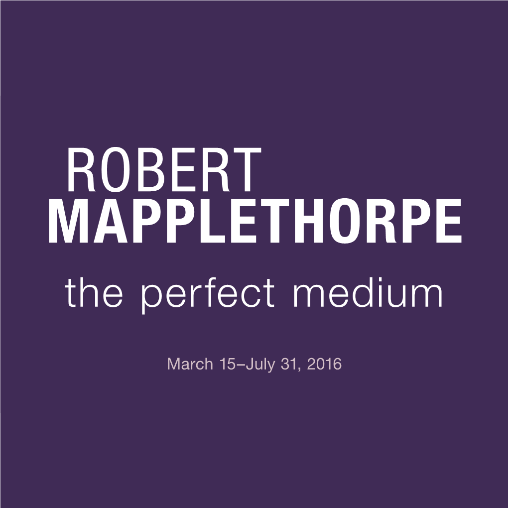 ROBERT MAPPLETHORPE the Perfect Medium