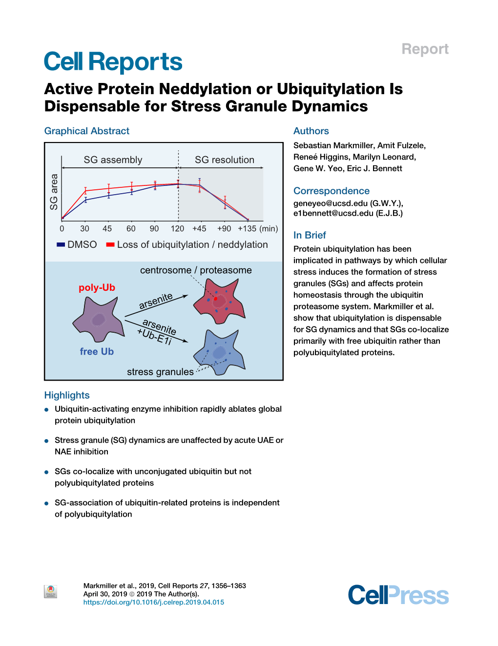 Active Protein Neddylation Or Ubiquitylation Is Dispensable for Stress Granule Dynamics